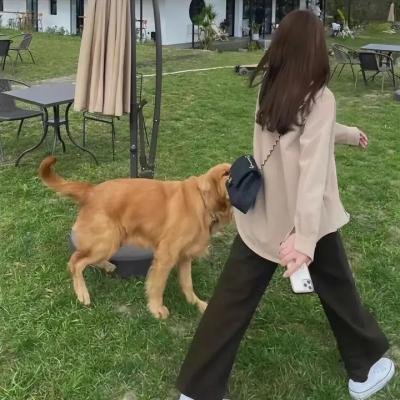 沙胆小子